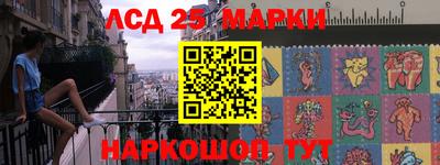 гидропоника Ярославль