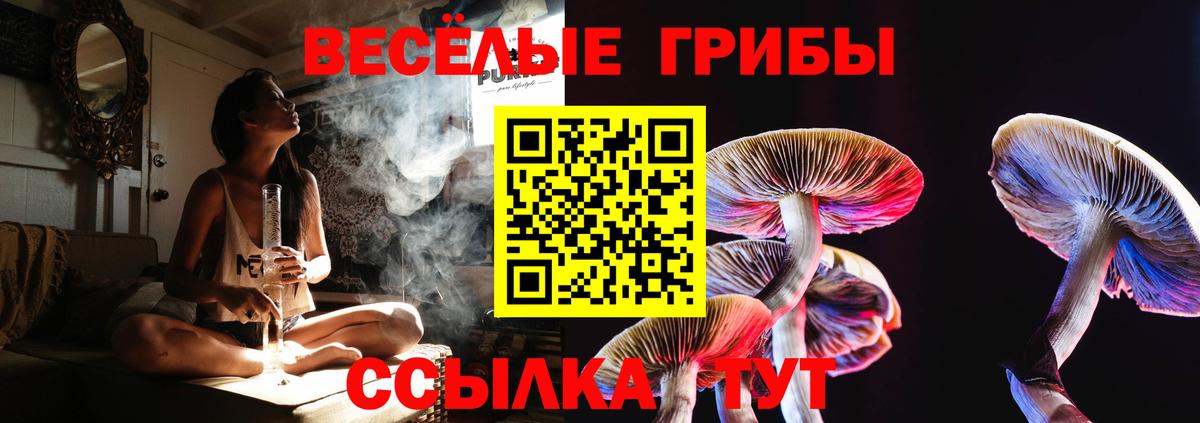 продажа наркотиков  Вход с VPN  Кимовск  Псилоцибиновые грибы прущие грибы  Псилоцибиновые грибы Psilocybine cubensis 