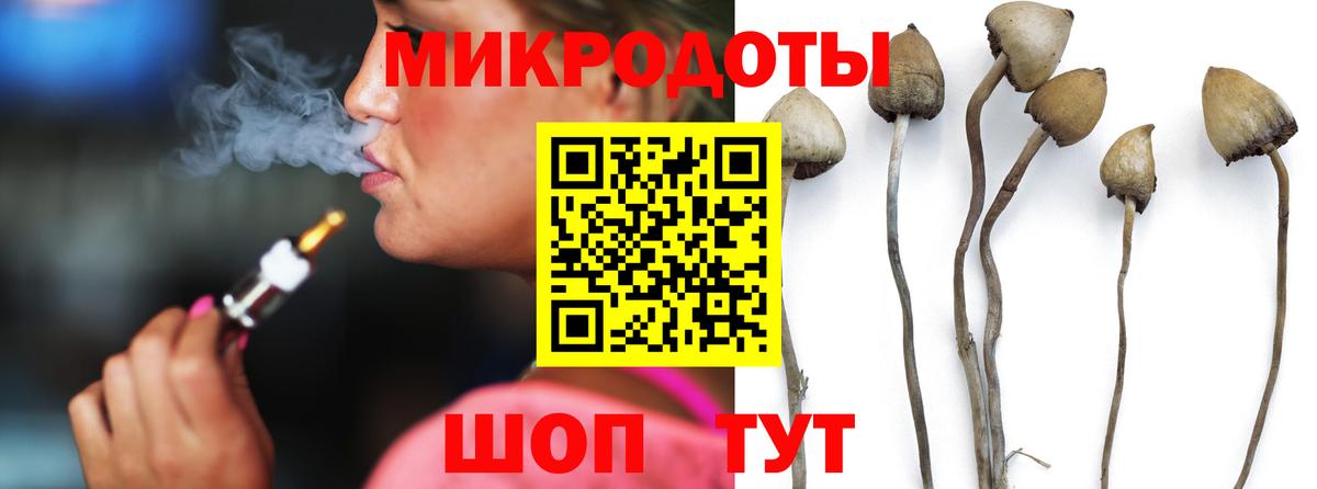 Псилоцибиновые грибы GOLDEN TEACHER Кимовск