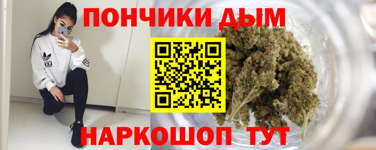Каннабис SATIVA & INDICA Кимовск